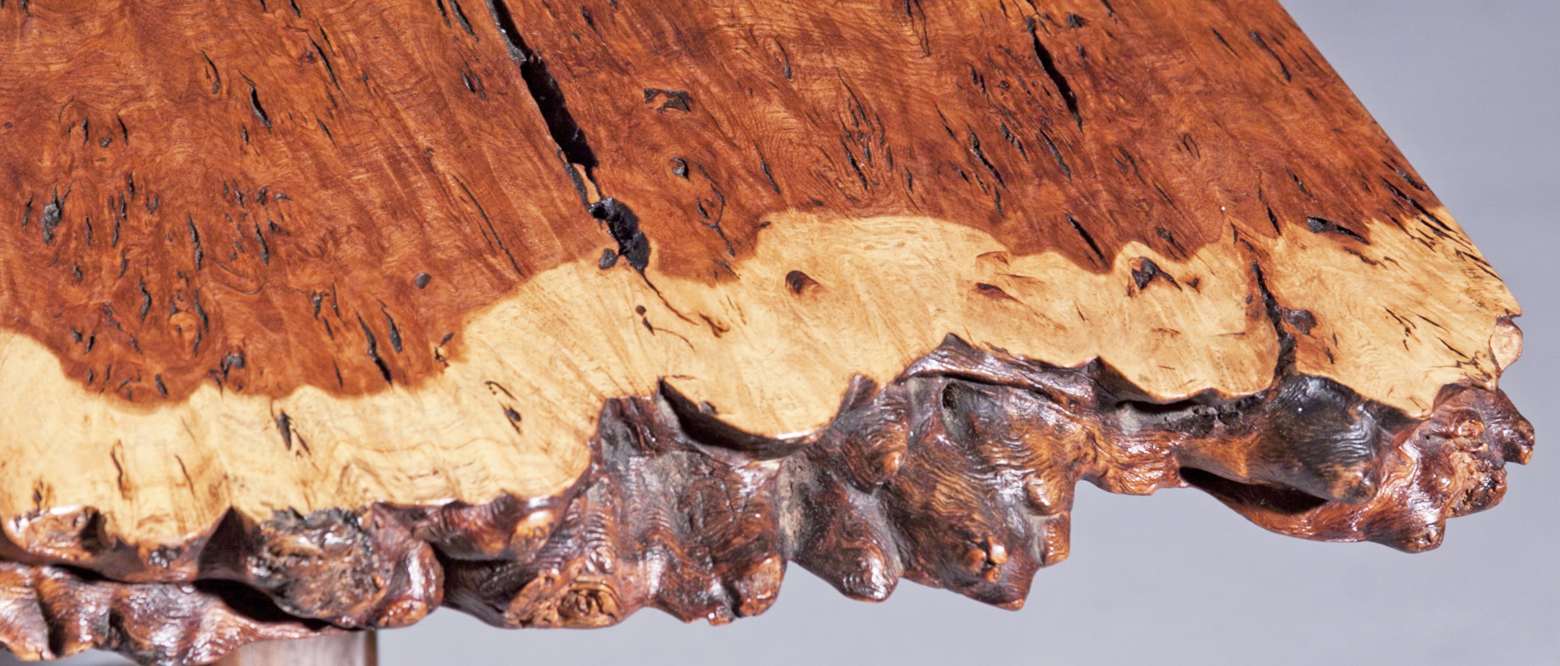 detail of the live edge of an english oak burl table top by mid century modern studio furniture designer george nakashima