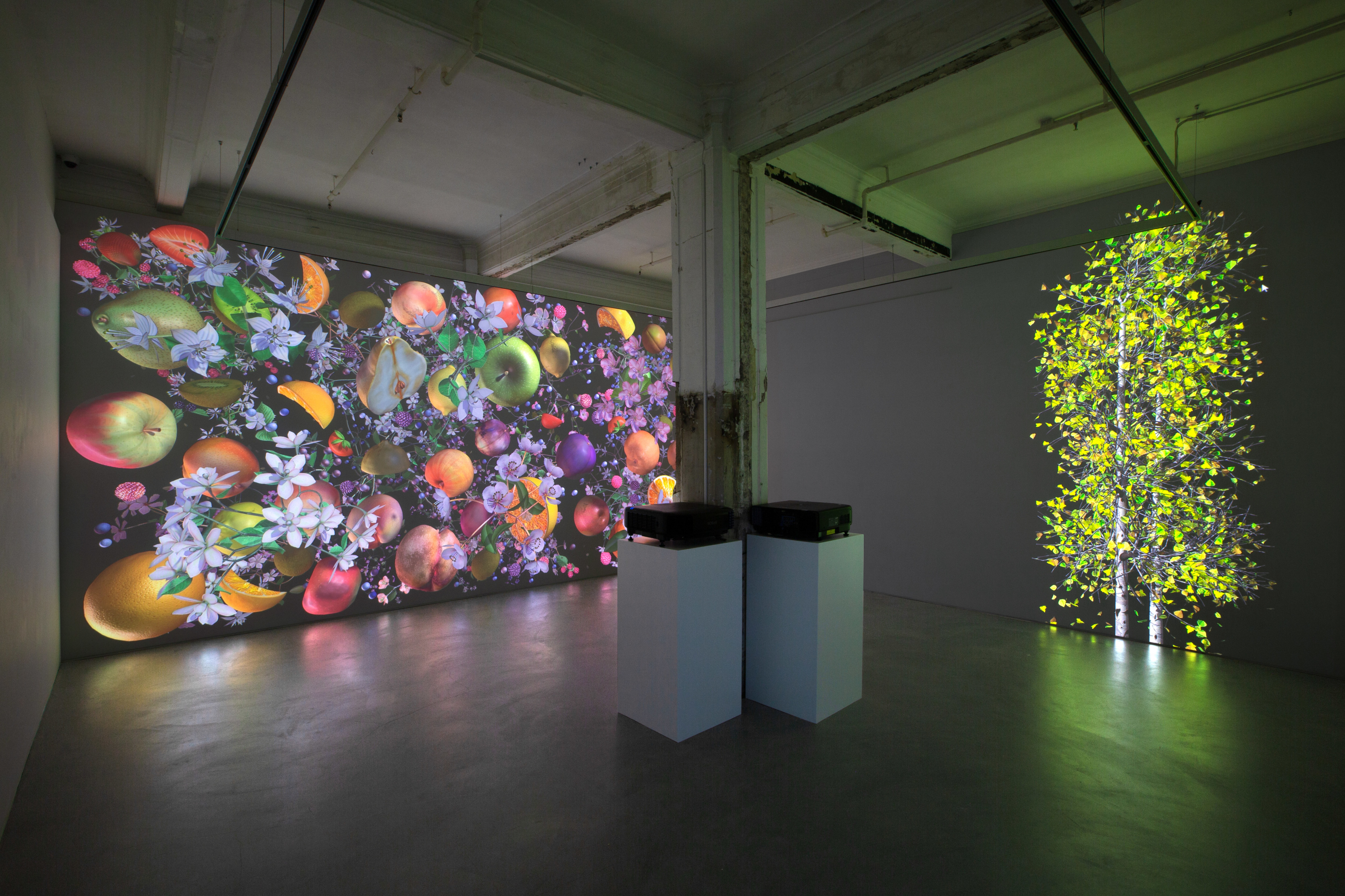 Jennifer Steinkamp,&nbsp;Still-Life, Installation view at Lehmann Maupin, Hong Kong