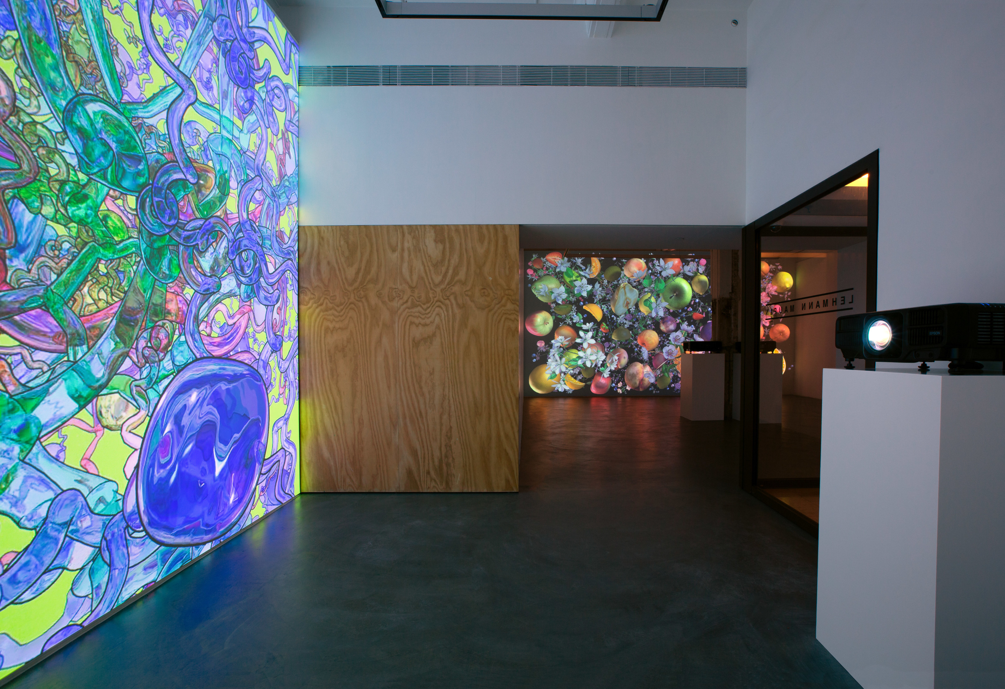 Jennifer Steinkamp,&nbsp;Still-Life, Installation view at Lehmann Maupin, Hong Kong