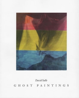 David Salle Ghost Paintings Skarstedt Publication Book Cover