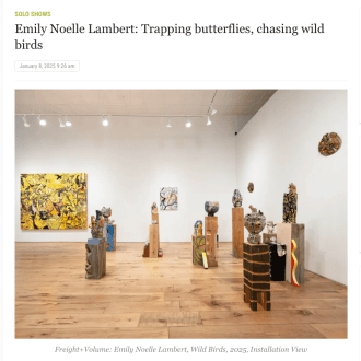 Emily Noelle Lambert: Trapping butterflies, chasing wild birds - Two Coats of Paint