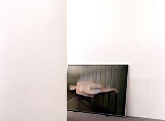 Louise Lawler