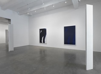 Sara VanDerBeek