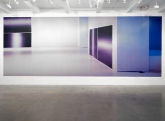 Louise Lawler