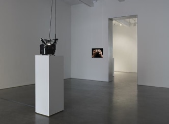 David Maljkovic