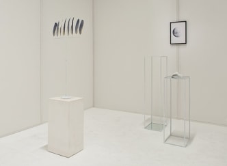 Hammer Projects: Sara VanDerBeek