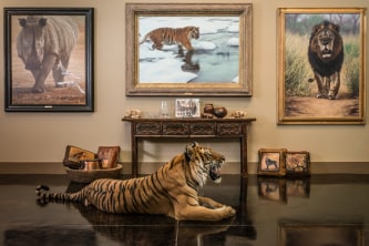 Banovich Limited edition gicl&eacute;e canvases and Wild Accents Collection