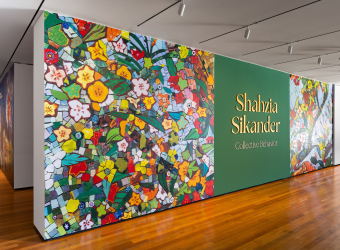 Shahzia Sikander: Collective Behavior