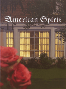 Roe Ethridge: American Spirit