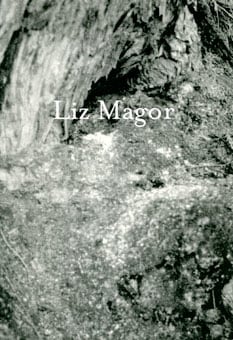 Liz Magor