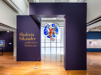 Shahzia Sikander: Collective Behavior