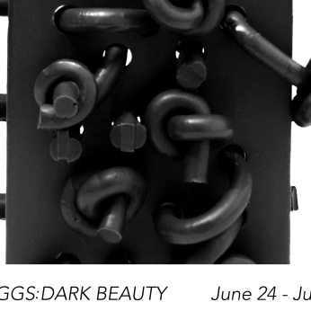 Paul S. Briggs: Dark Beauty