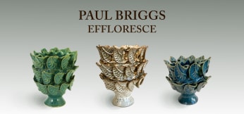 PAUL S. BRIGGS: EFFLORESCE