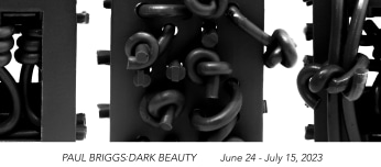 Paul S. Briggs: Dark Beauty