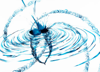 THE NATIONAL ACADEMY OF SCIENCES ACQUIRES LIA HALLORAN'S &quot;WS601 THE COLLISION&quot;