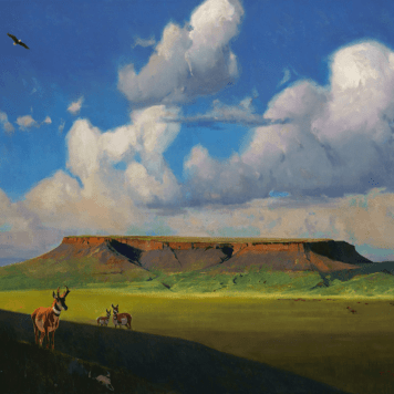 Fort Mountain - Video