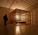 A Year in a Cage: A Life Shrunk to Expand Art