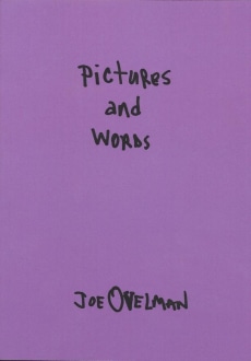 PICTURES AND WORDS book cover