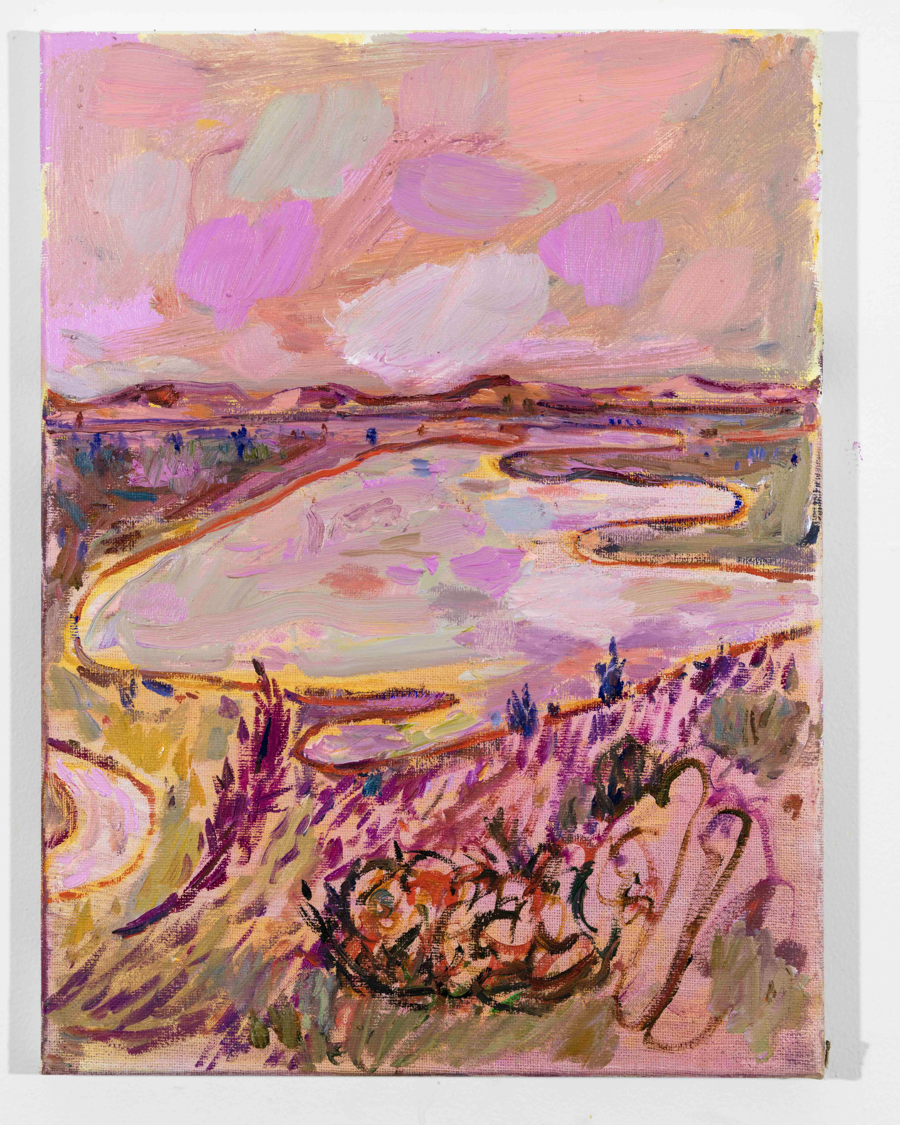 LISA SANDITZ, Landscape Color Study 28, 2019