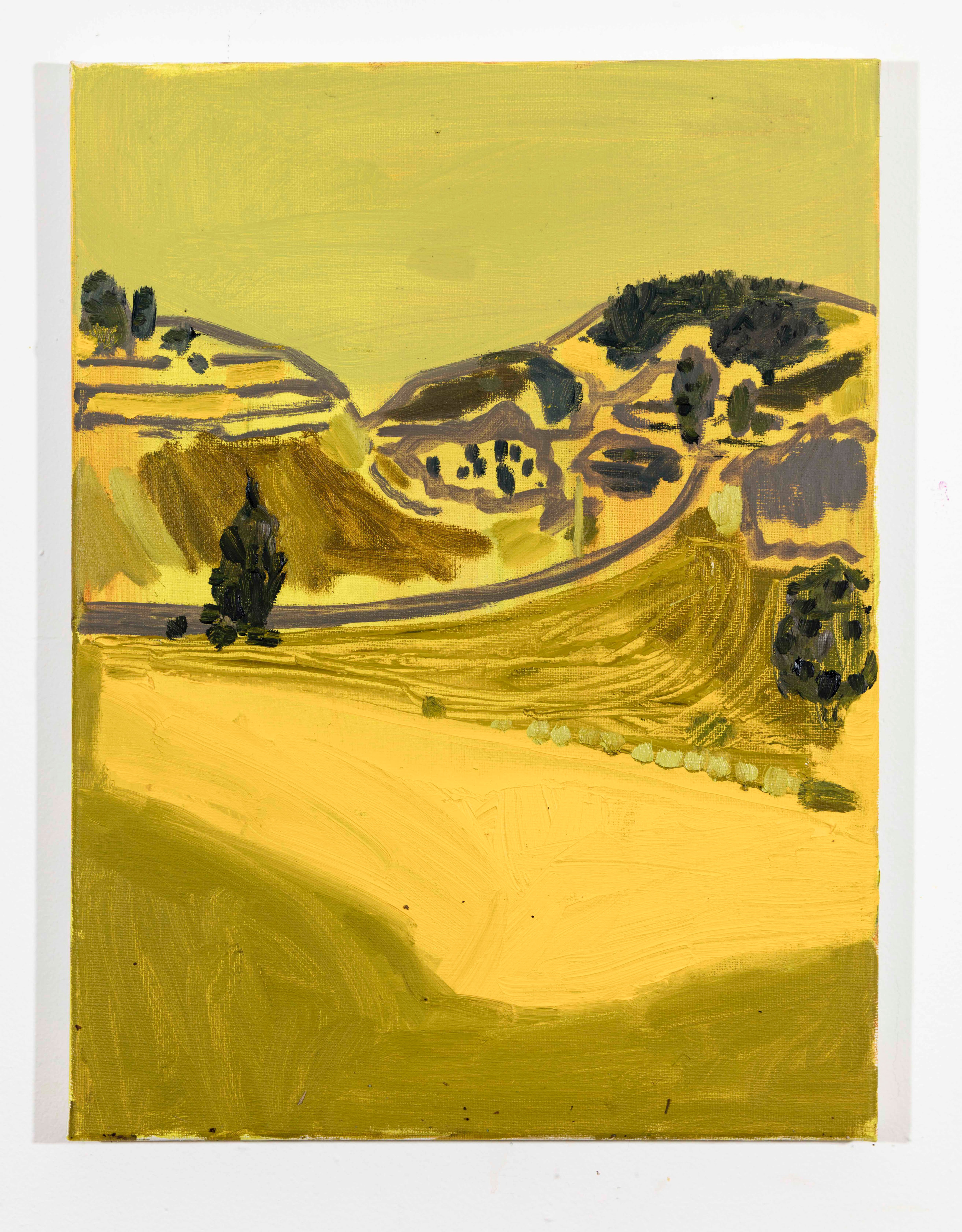 LISA SANDITZ, Landscape Color Study 14, 2019