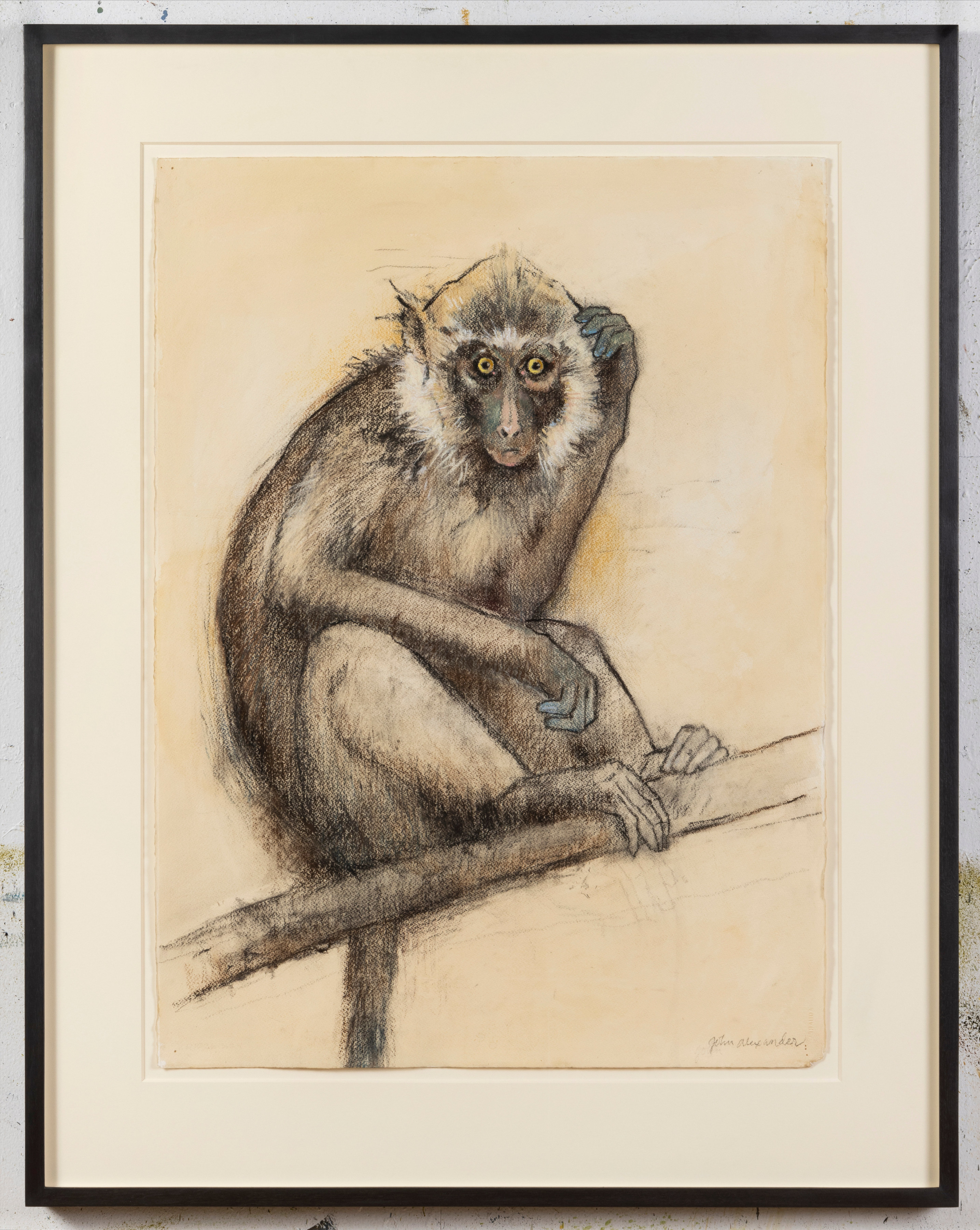 John&nbsp;Alexander Confused Simian, 2024