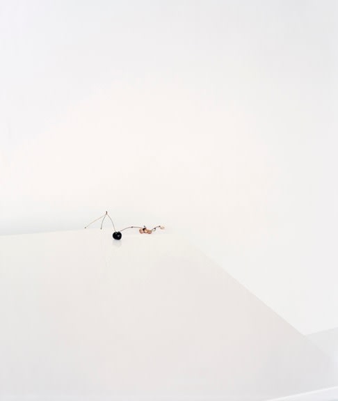 Laura Letinsky