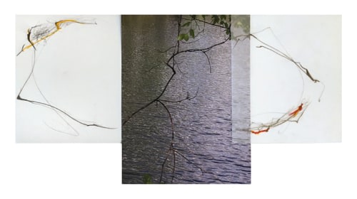 Sandi Haber Fifield