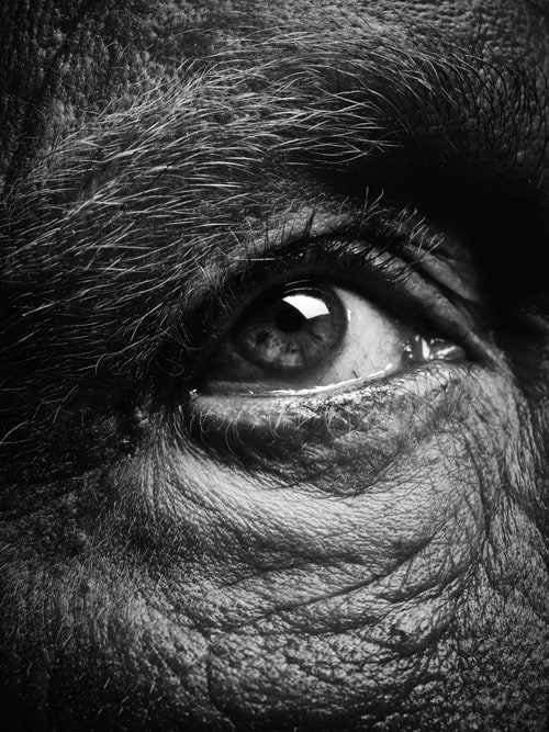 Bill Brandt / Eyes (1960-1964), 2014,&nbsp;Archival pigment print,&nbsp;9 x 8 inches