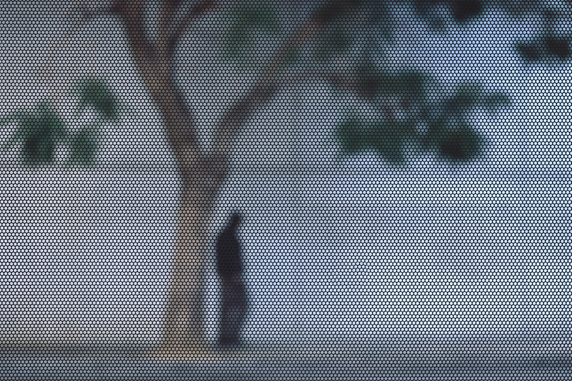 Screened Pictures X #107, 2018/2019. Archival pigment print, 50 x 75 inches.