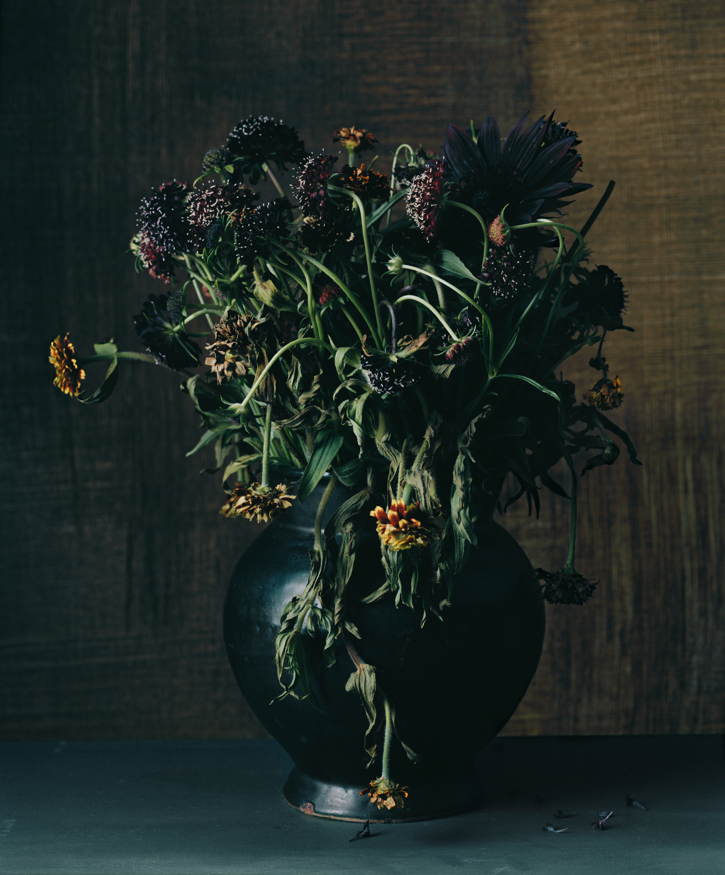 Photograph by Sharon Core titled 1614 from the series 1606-1907 of a floral still life arranged in the style of a classical painting