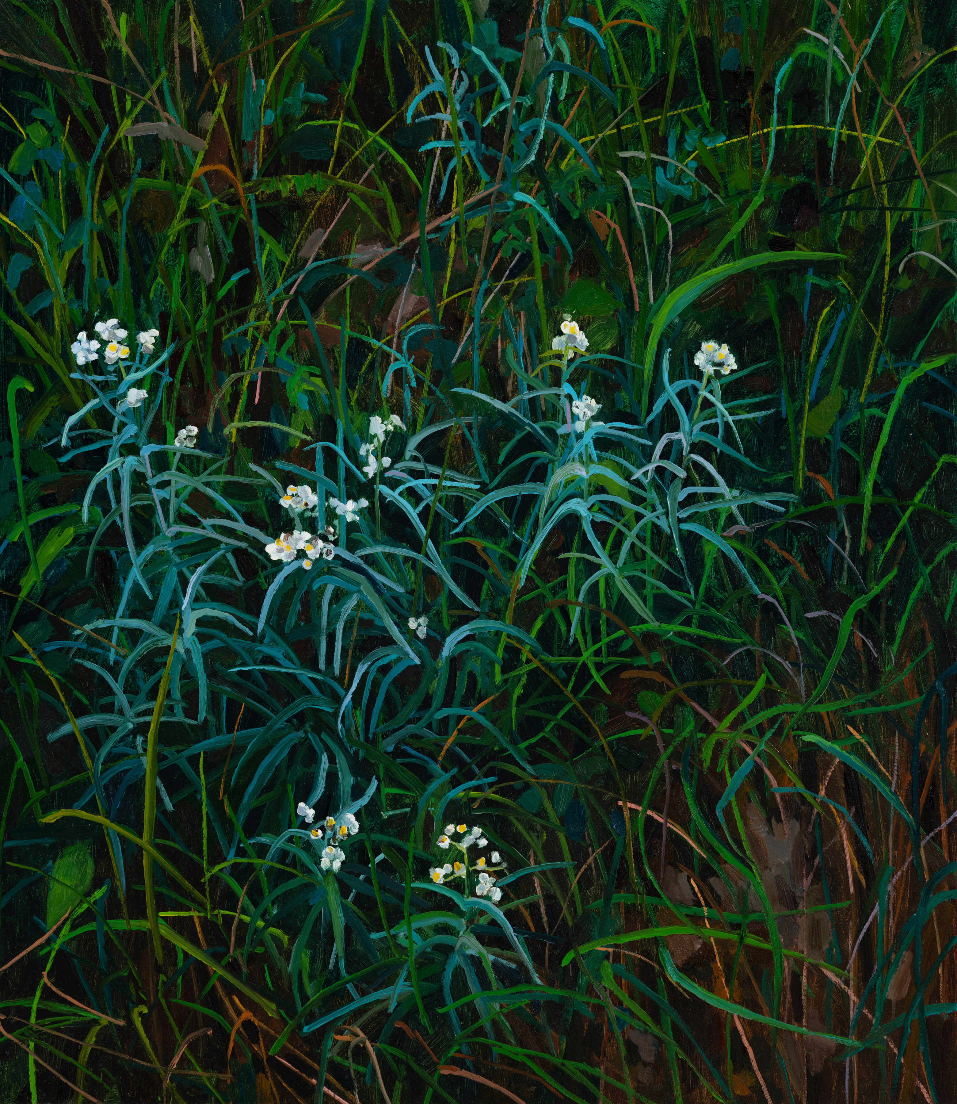 Wildflowers, 2020 Oil on canvas