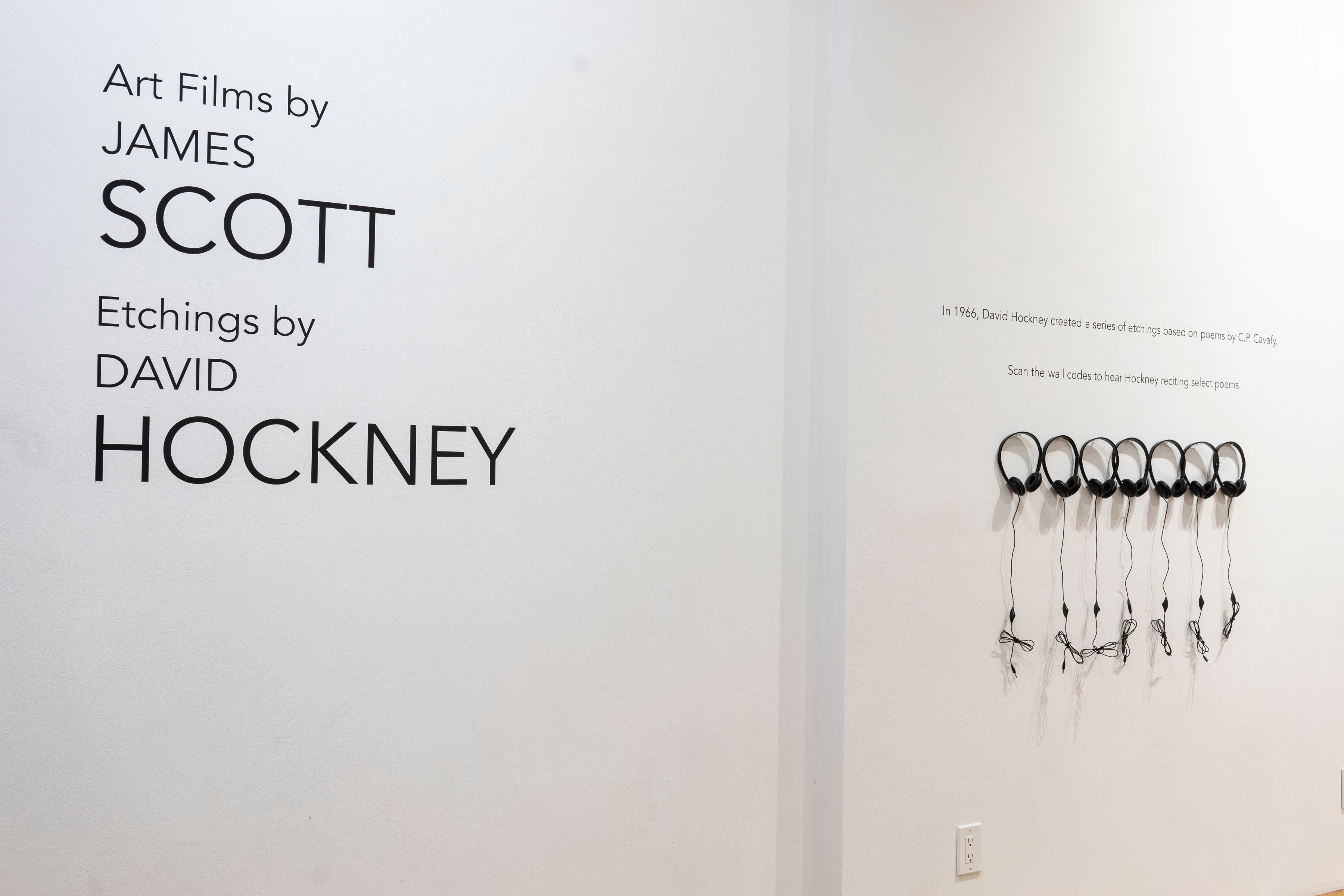 James Scott - David Hockney at Anita Rogers Gallery