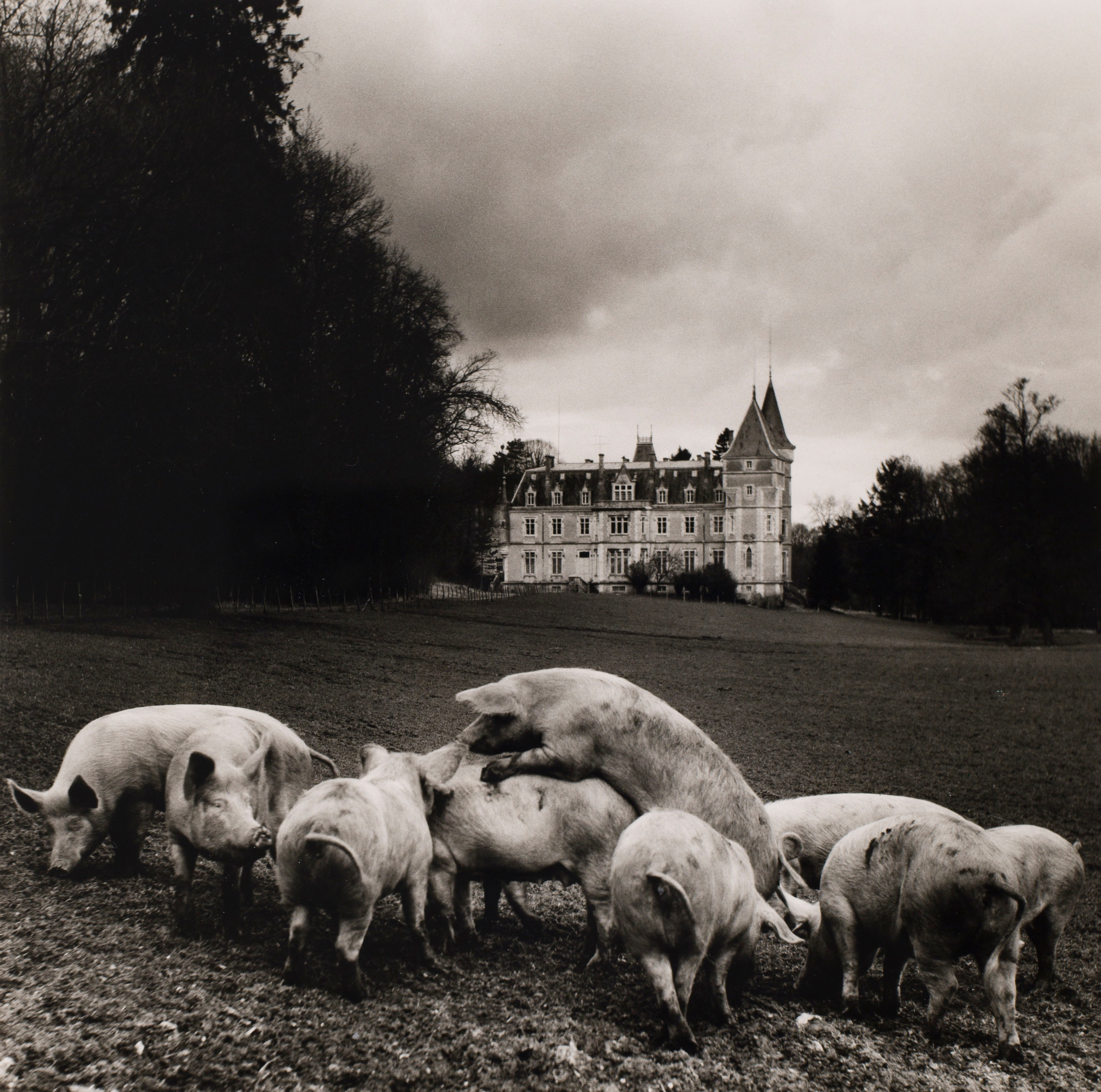 Philippe Salaun (1943-)  Le vie de Chateau, 1973  Gelatin silver print  16 x 12 inches (paper), black and white photography