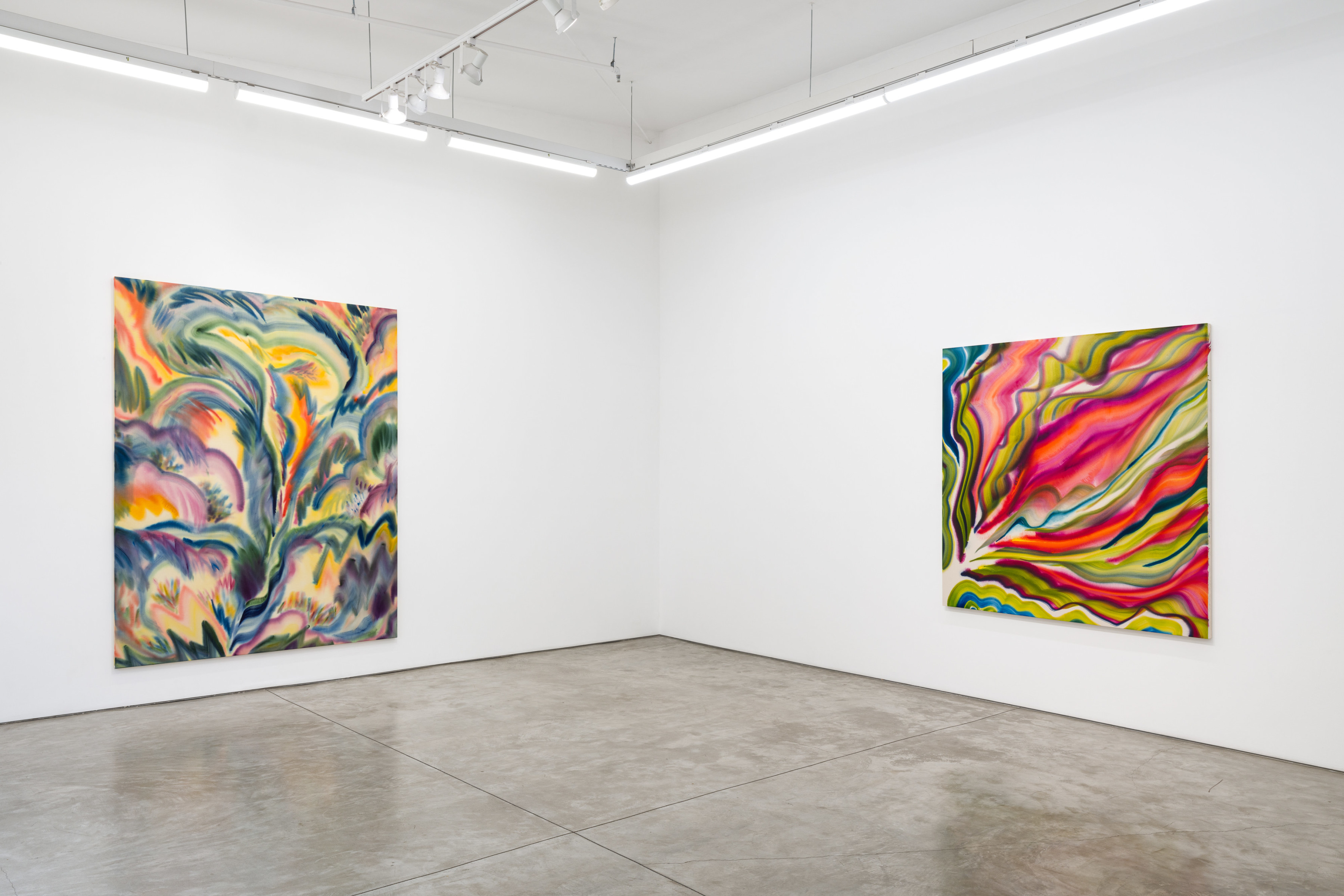 Installation view of Sarah Blaustein’s “Overture” at Night Gallery