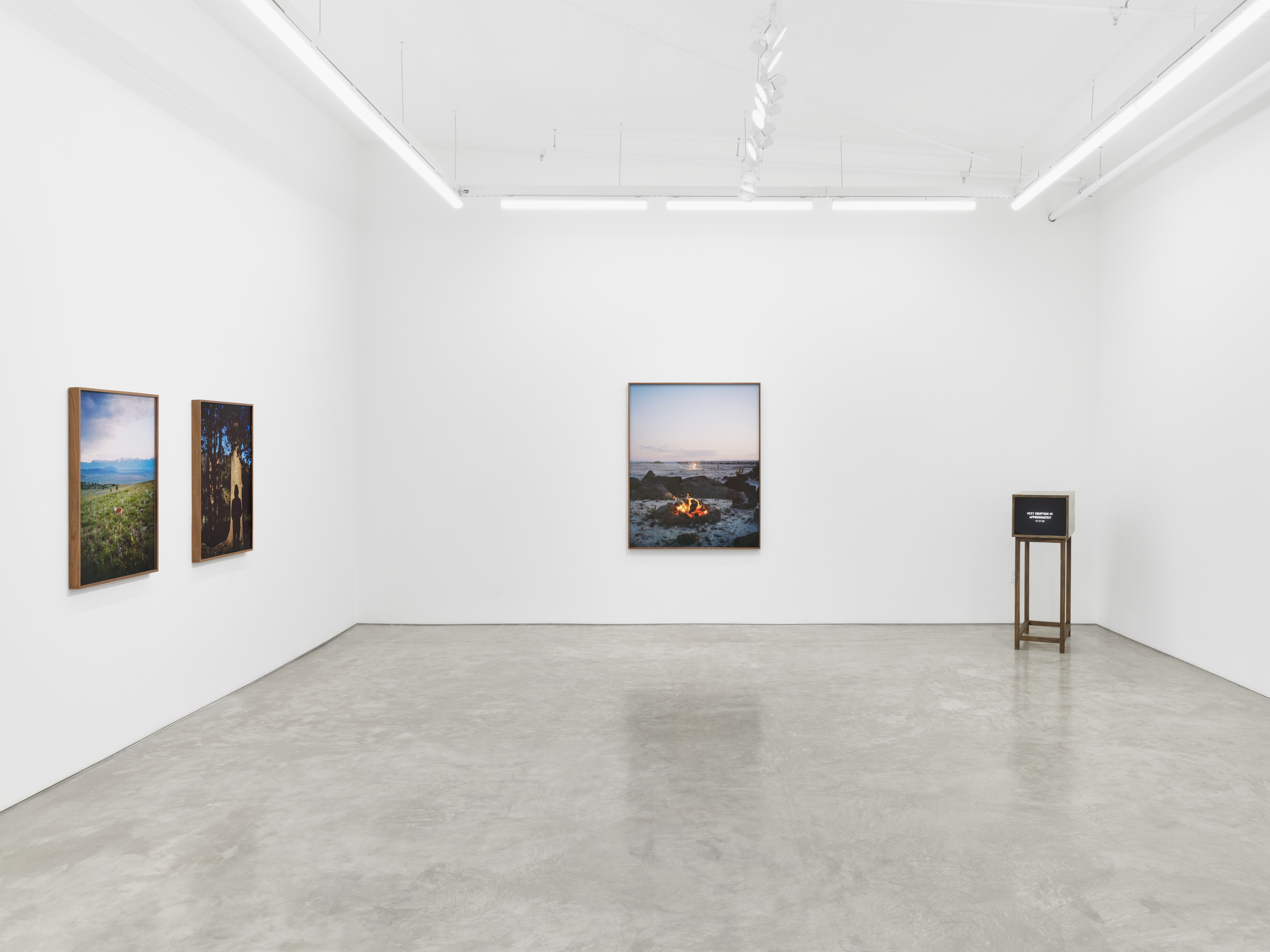 Installation view of Elise Rasmussen's "the beautiful" at Night Gallery