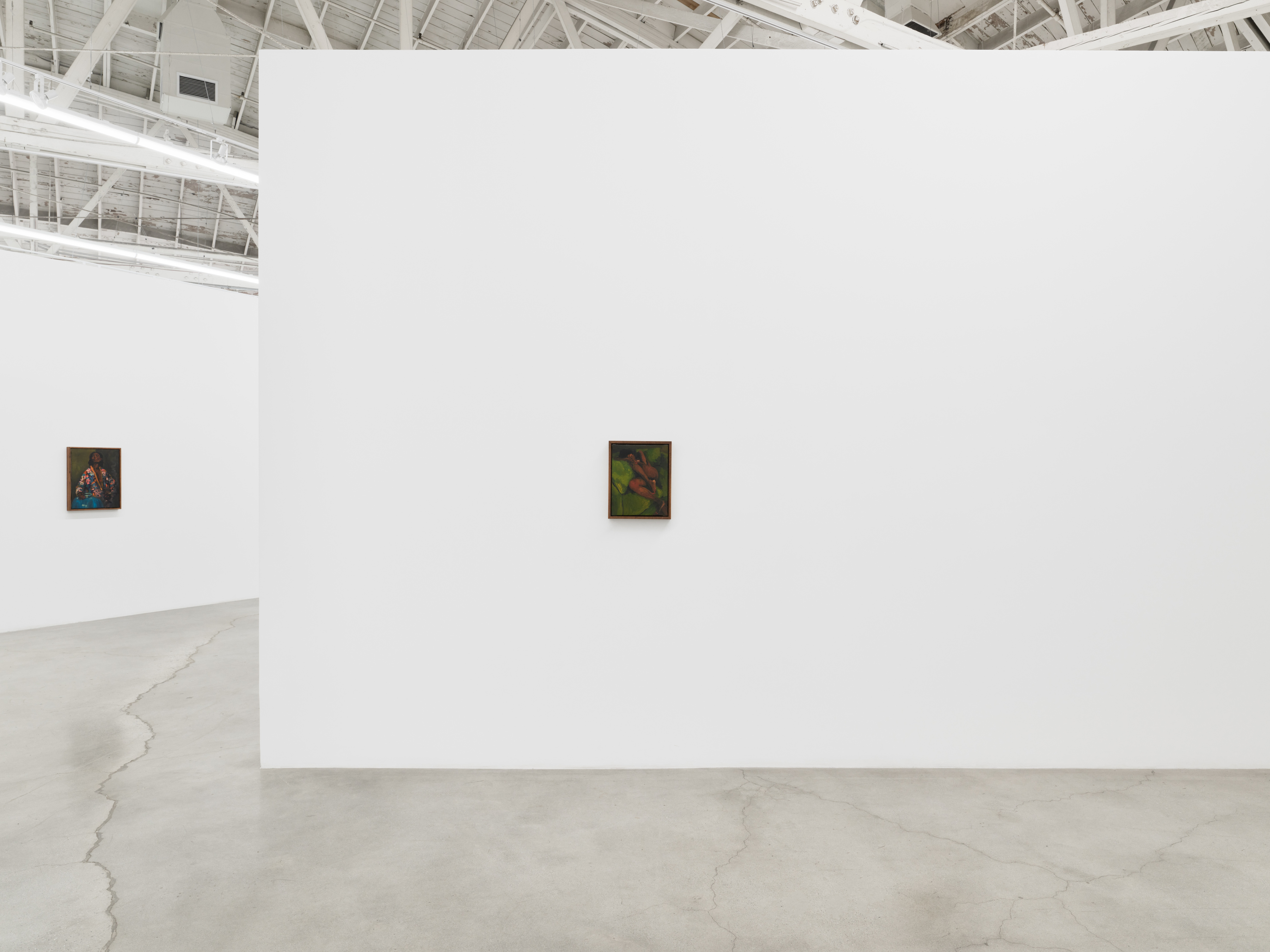 Danielle Mckinney, Metamorphic, installation view, 2023