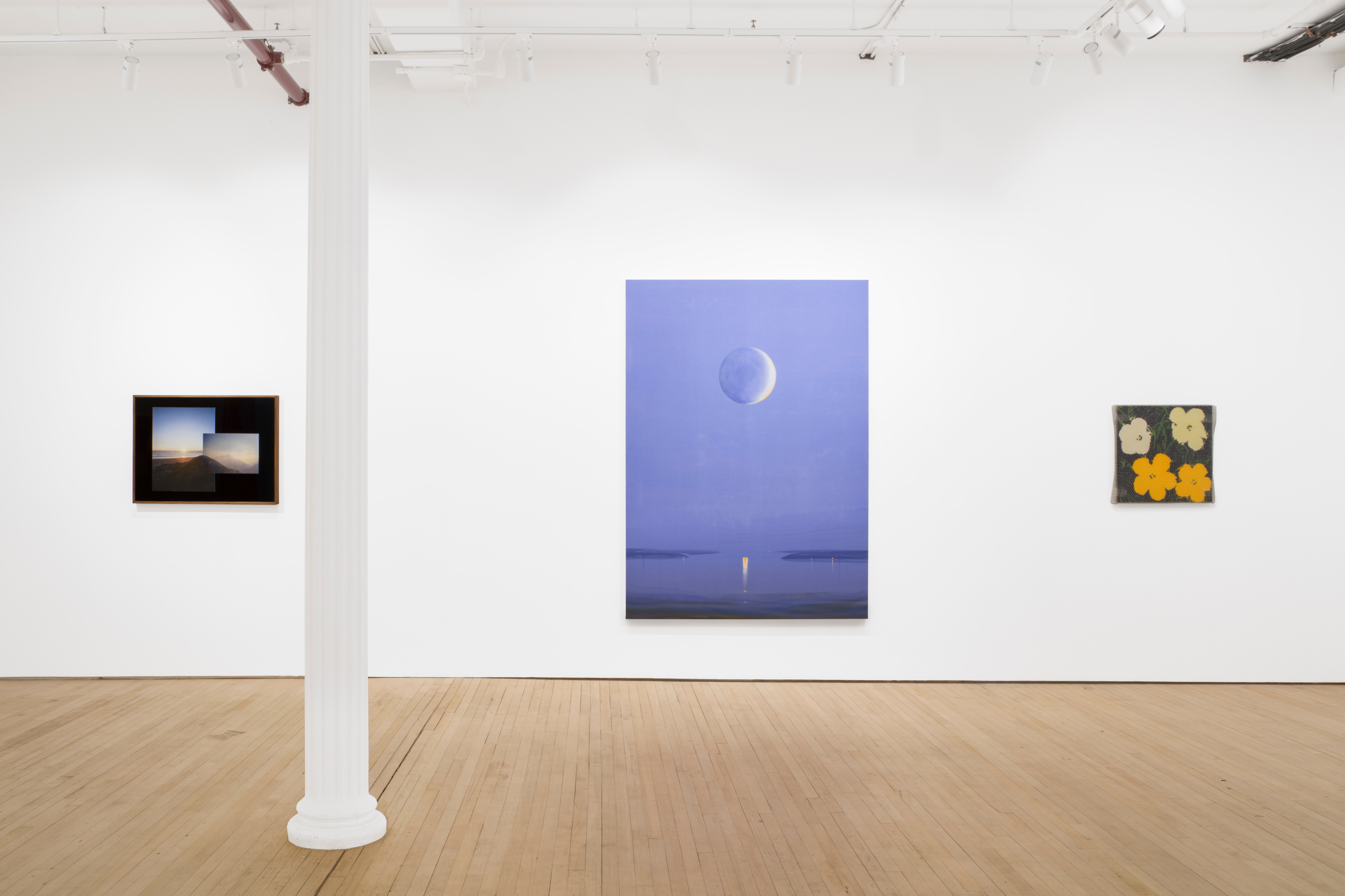 Installation view of "Superbloom"