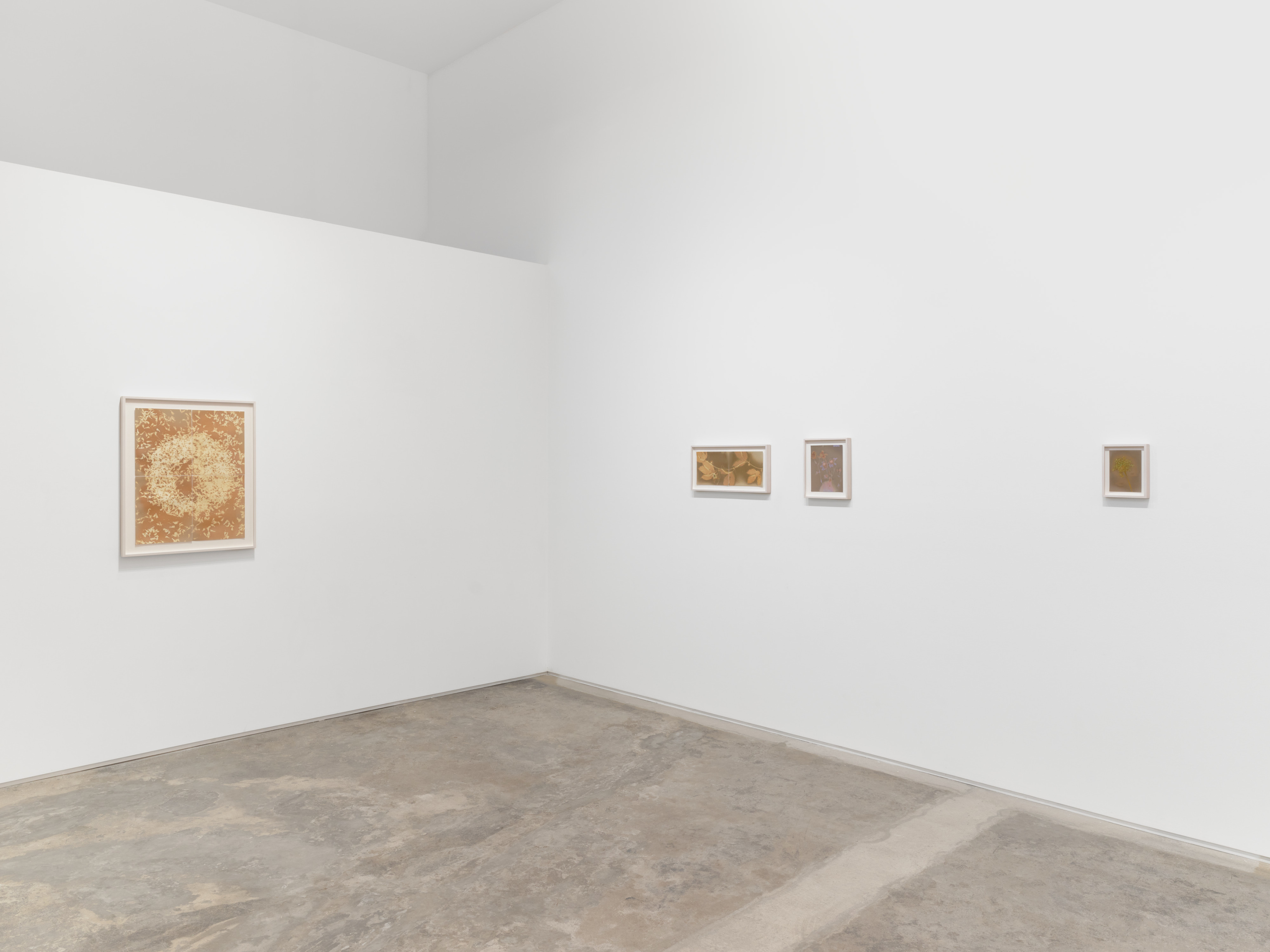 Installation view of Lily Kwong’s Solis