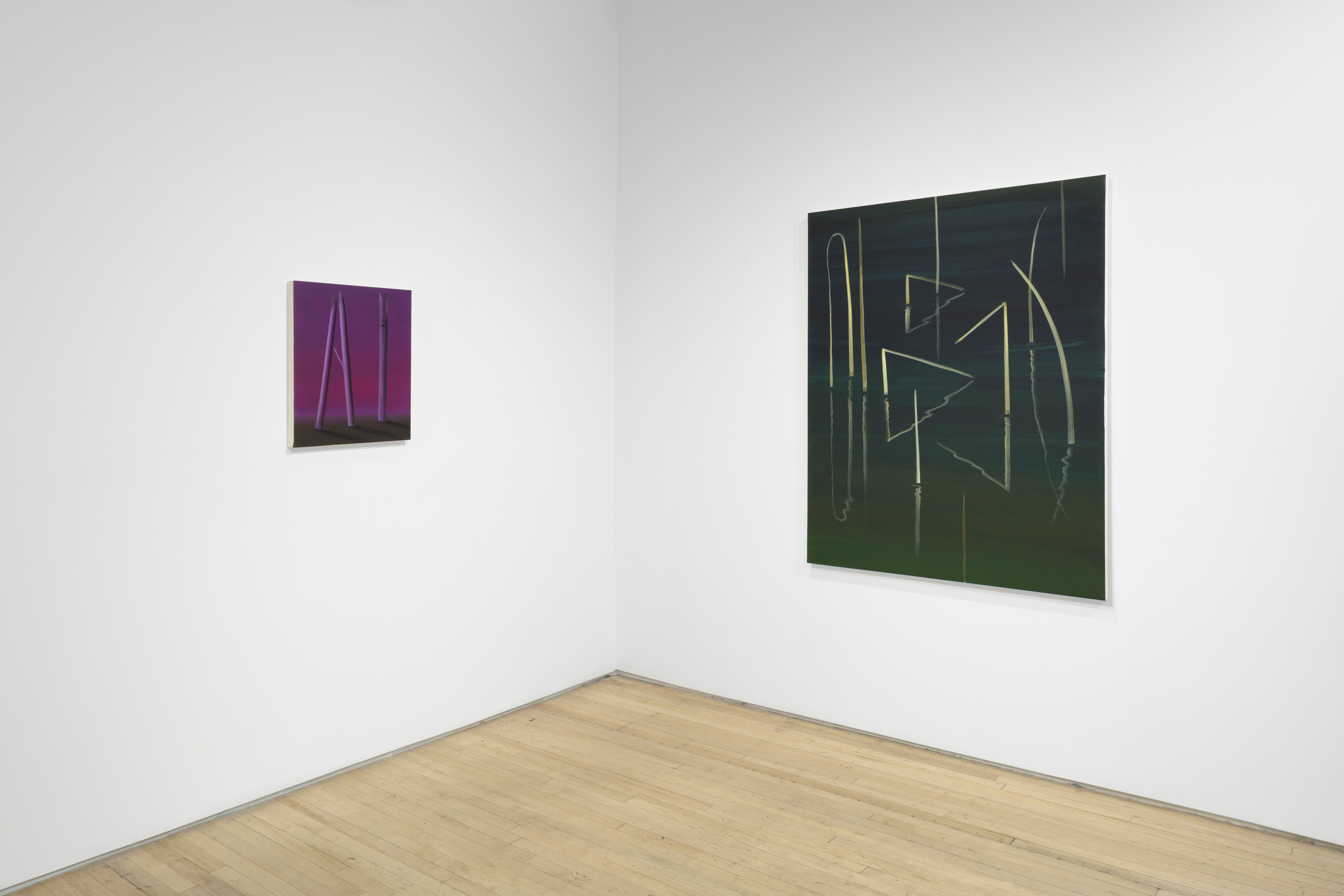Installation view of "Magnetic Field"