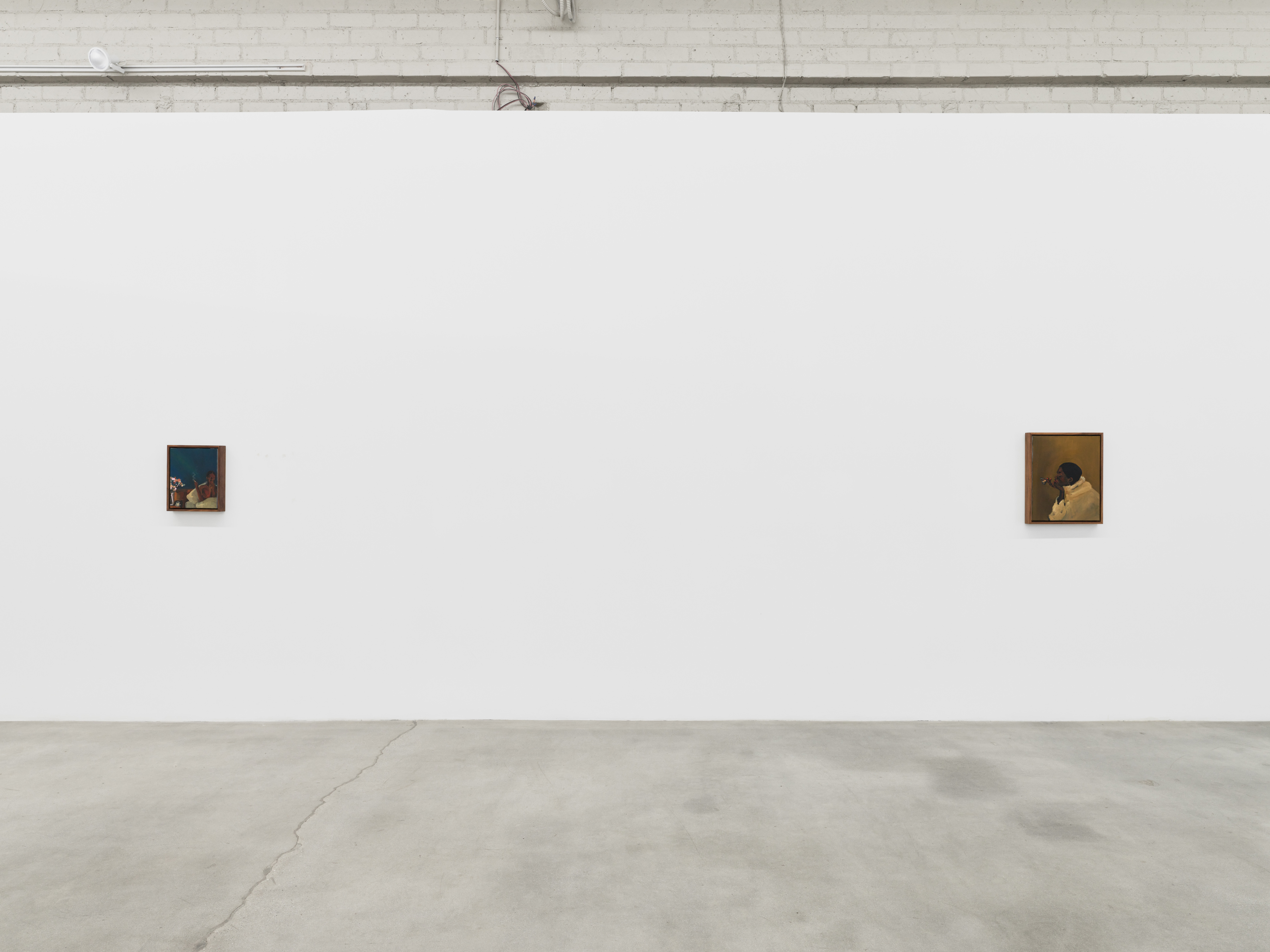 Danielle Mckinney, Metamorphic, installation view, 2023