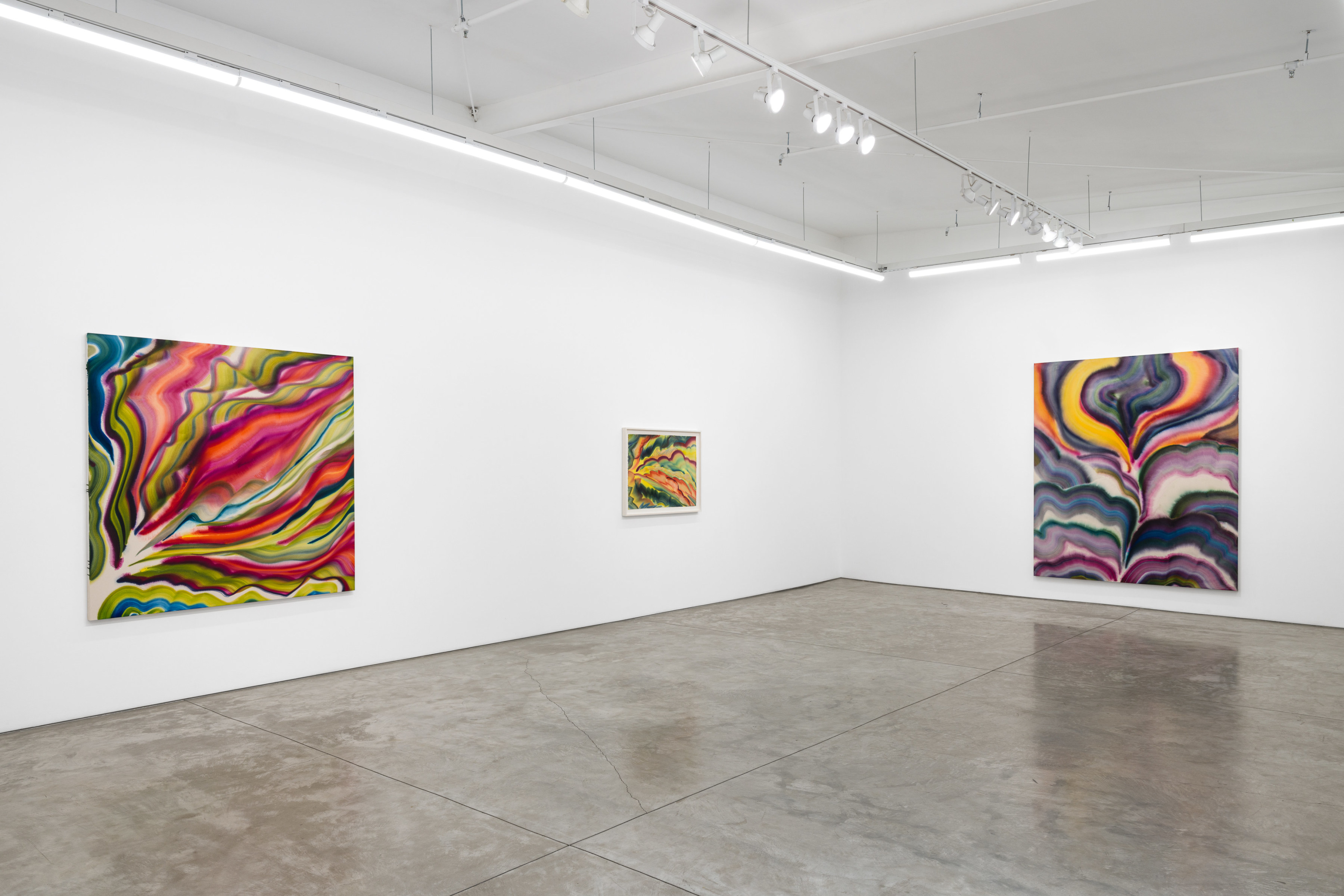 Installation view of Sarah Blaustein’s “Overture” at Night Gallery