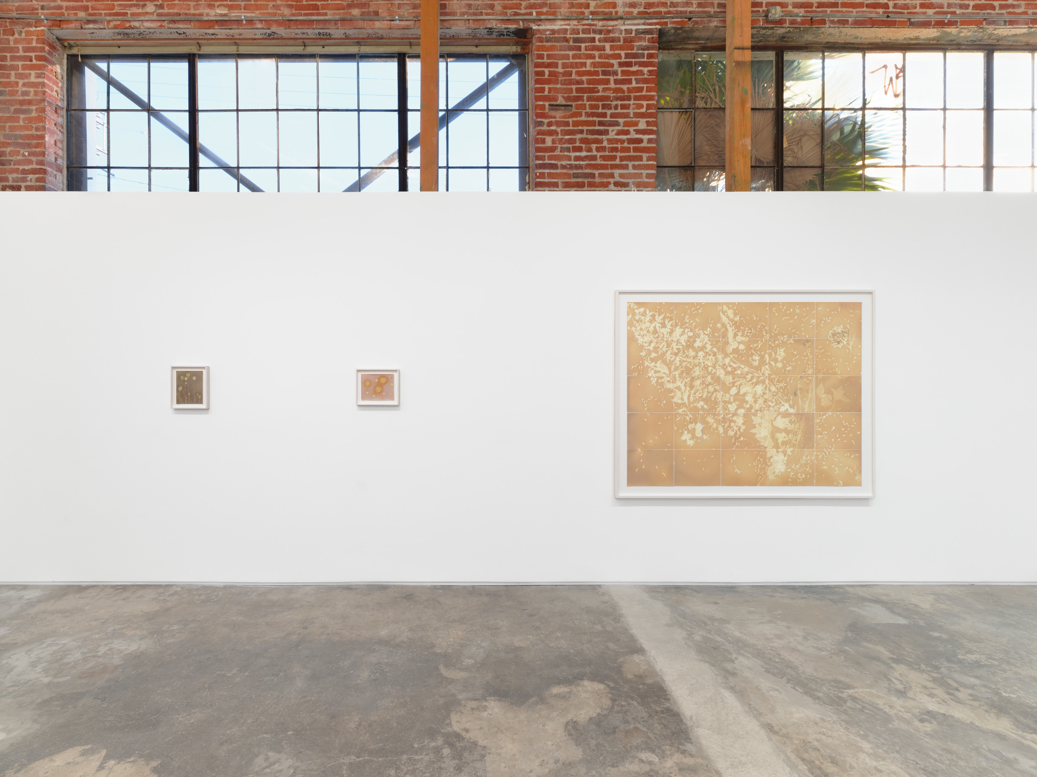 Installation view of Lily Kwong’s Solis