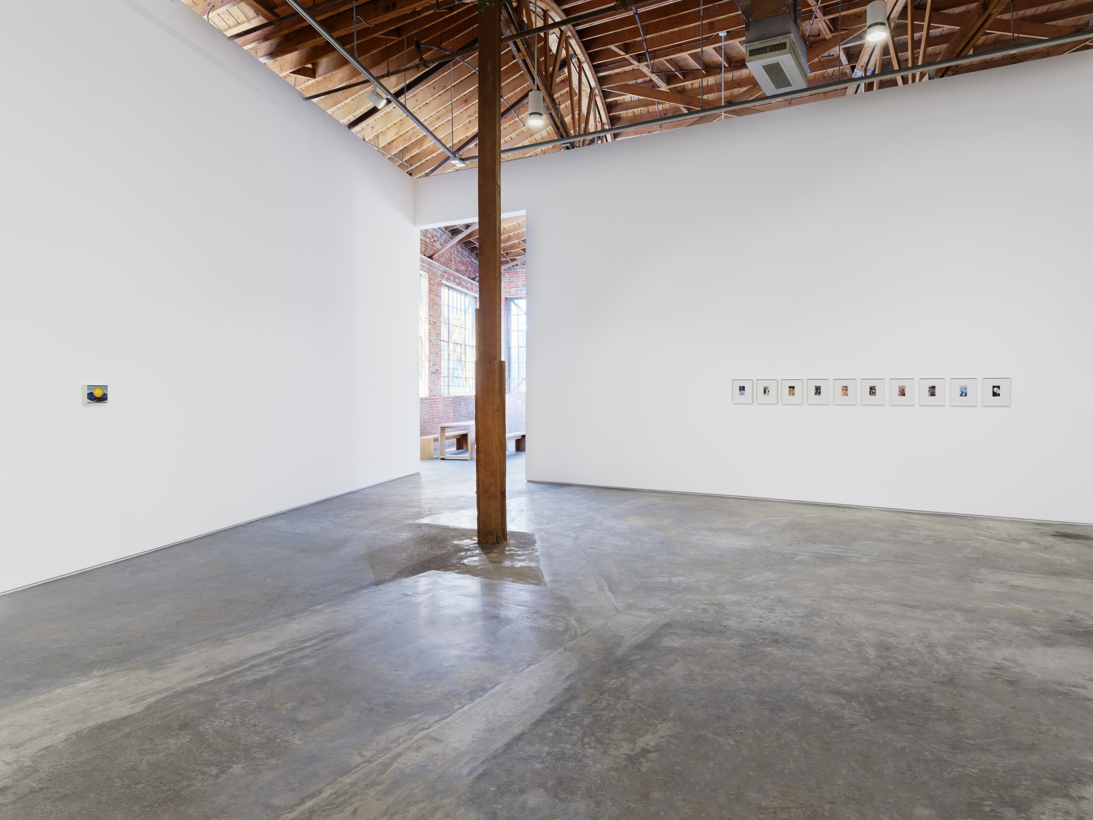 Cynthia Daignault, The Lemon, installation view, 2024