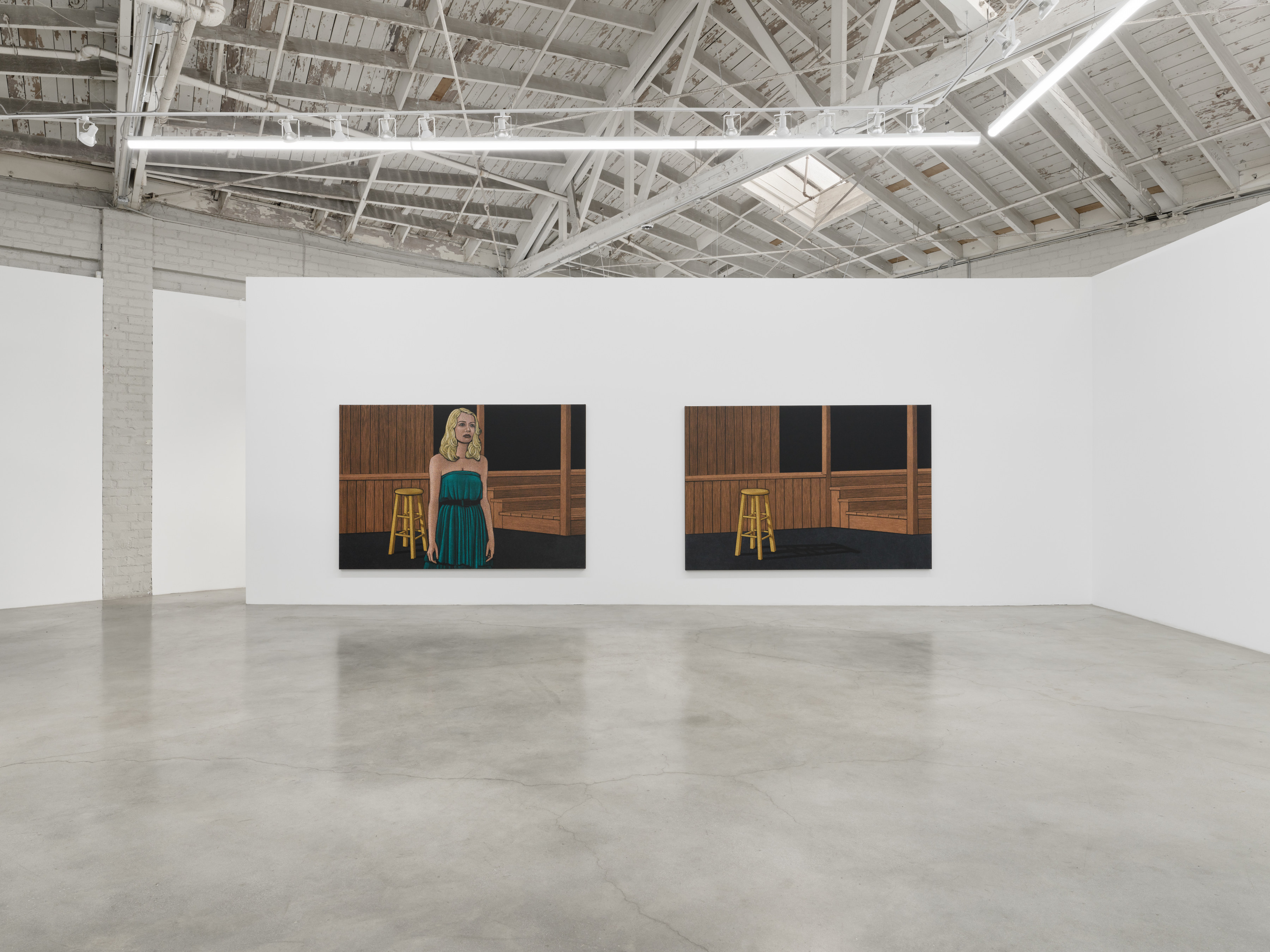 Installation view of Amy Adler's "Audition" at Night Gallery.