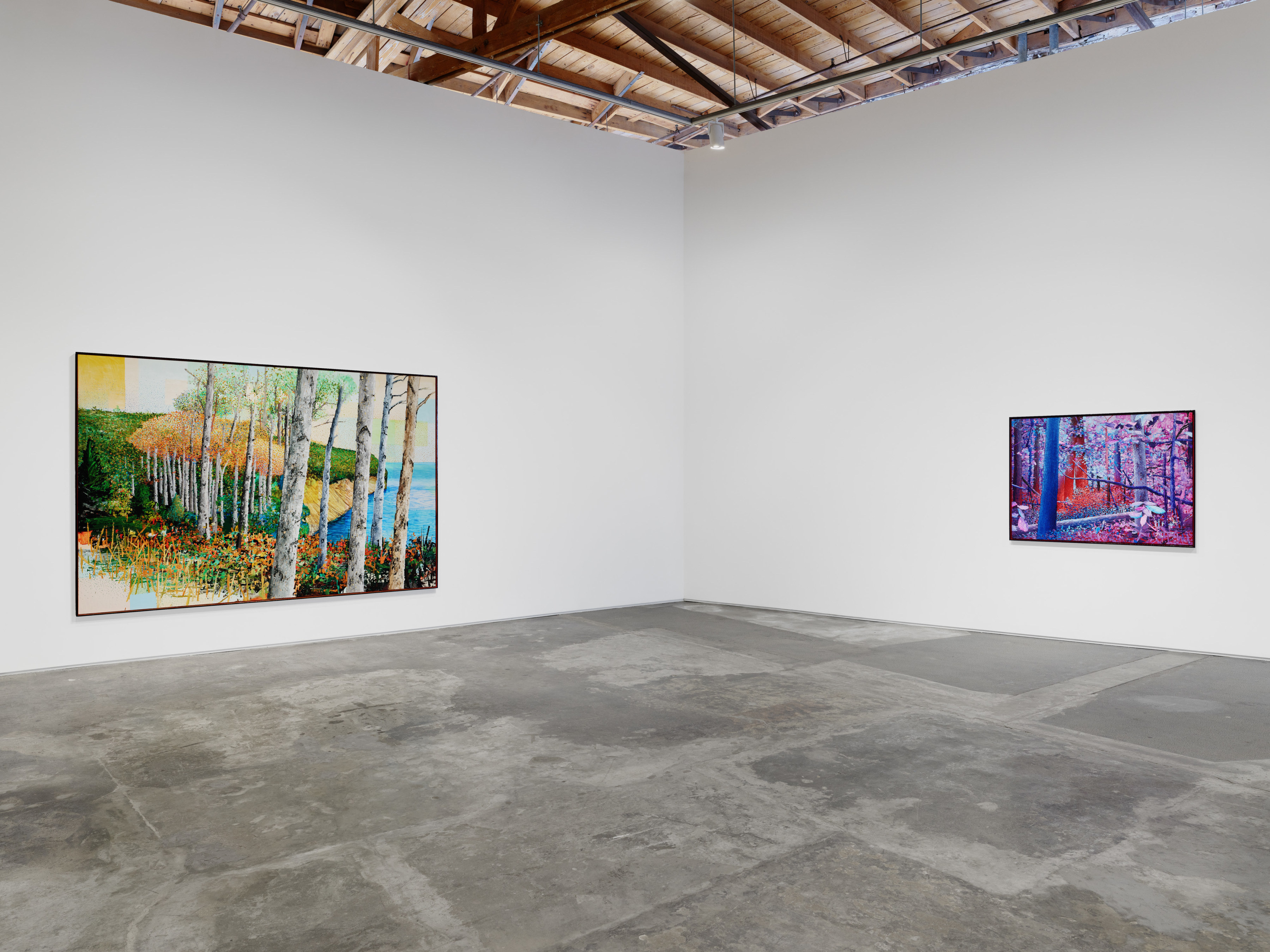 Installation view of "Peace Fellow"