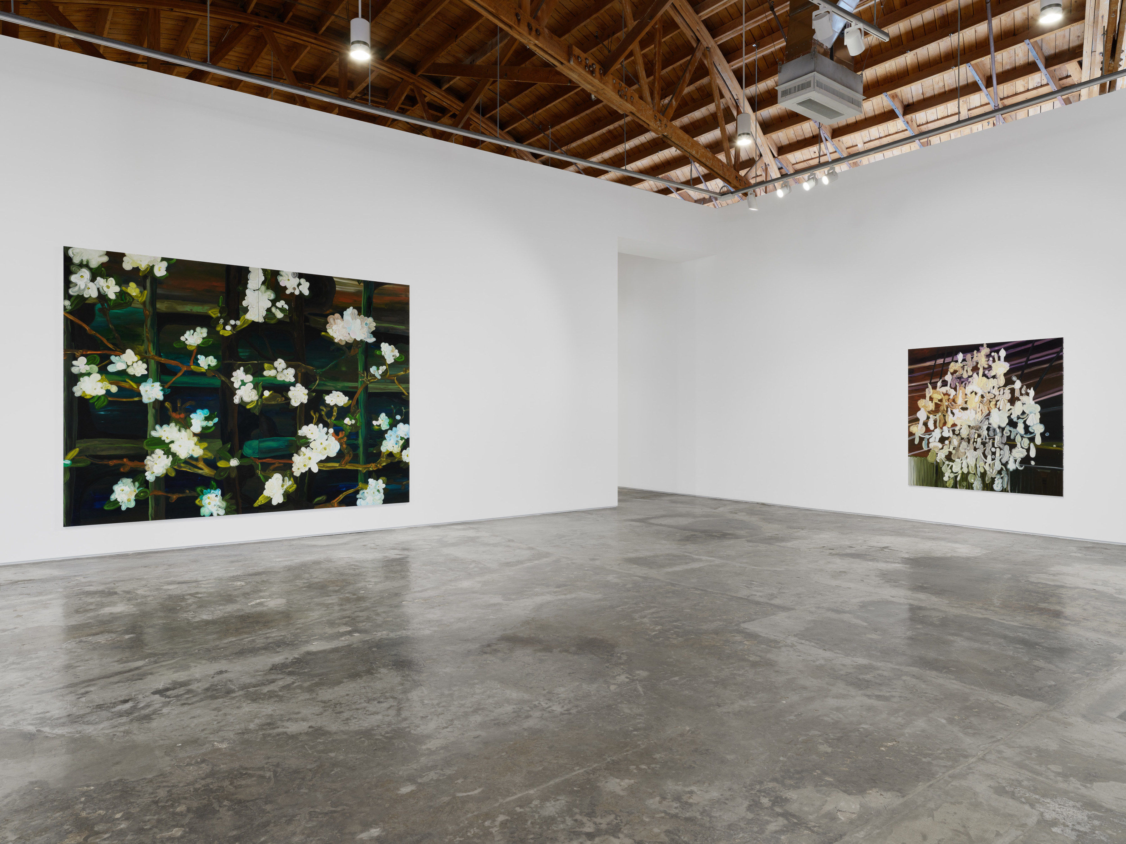 Installation view of Clare Woods’ “I Blame Nature” at Night Gallery