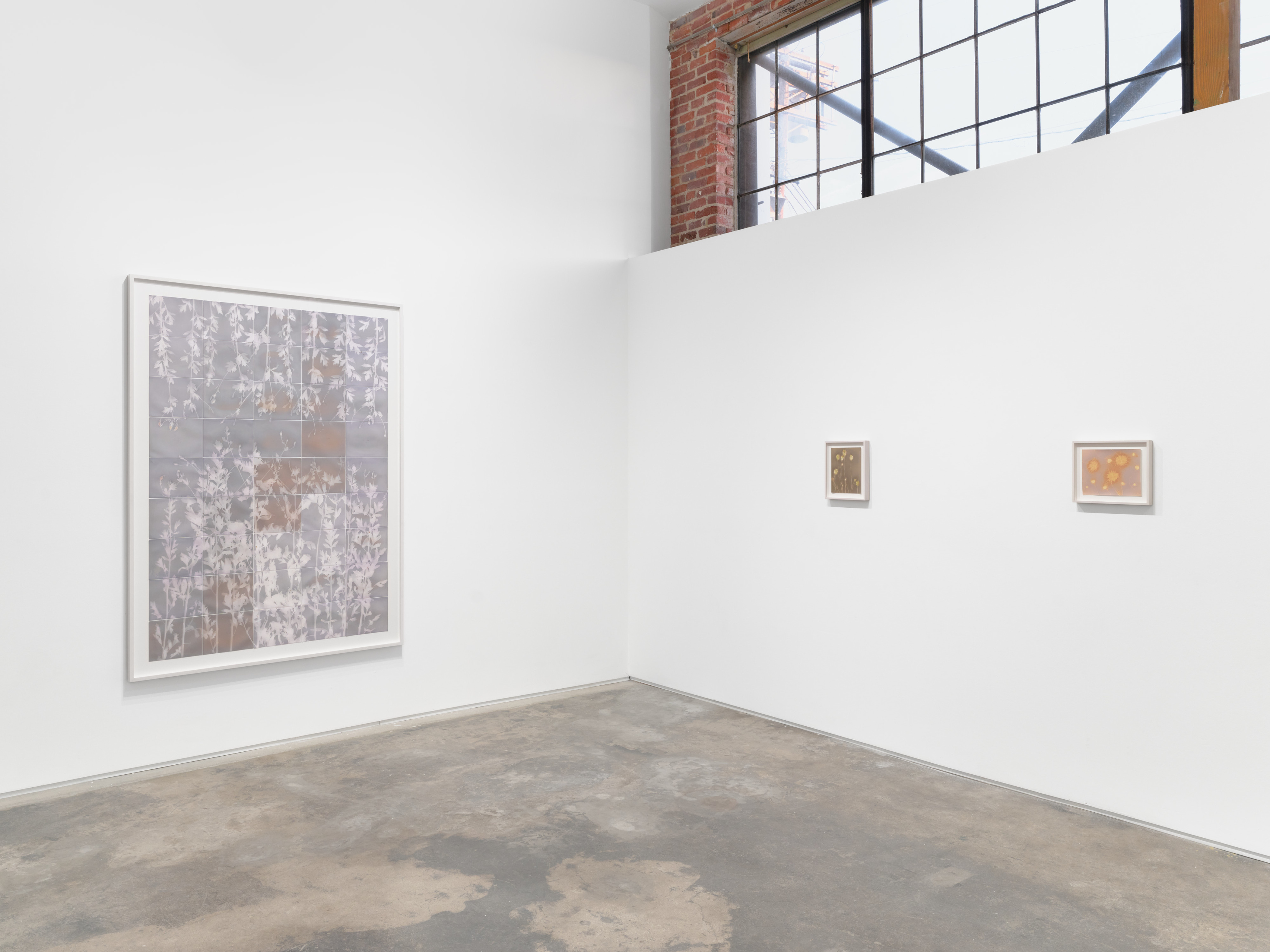 Installation view of Lily Kwong’s Solis