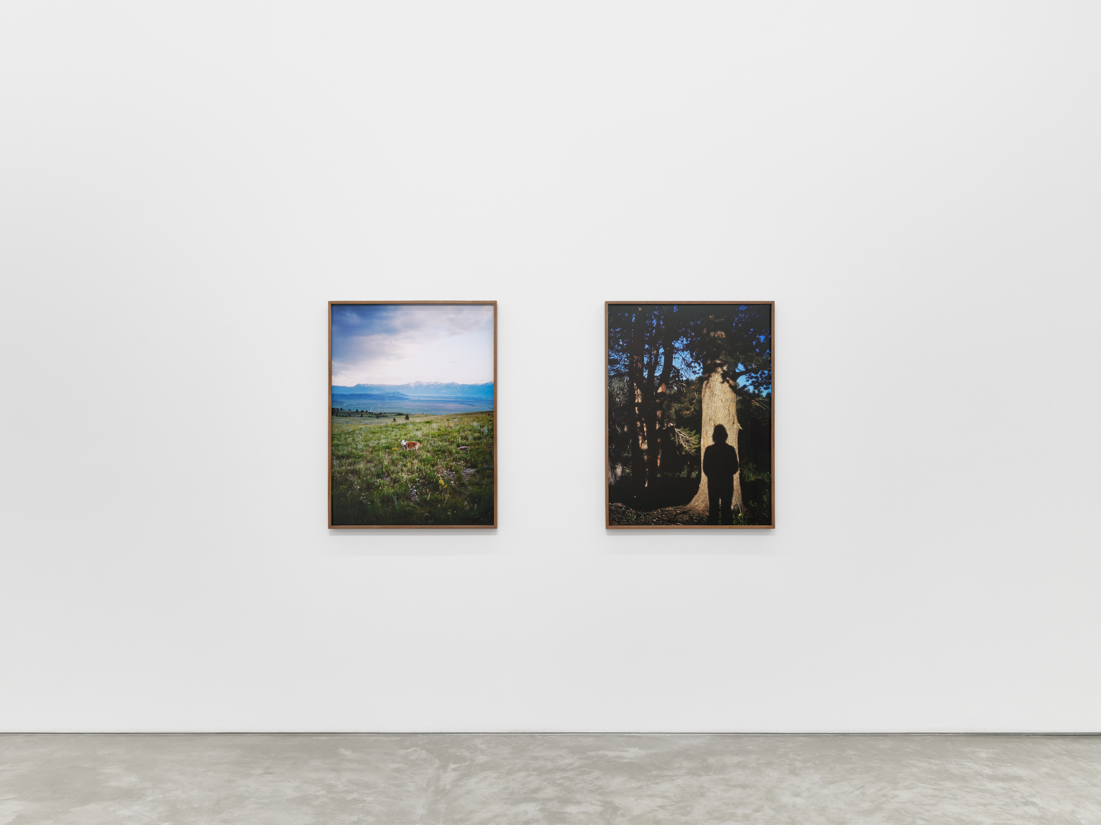 Installation view of Elise Rasmussen's "the beautiful" at Night Gallery