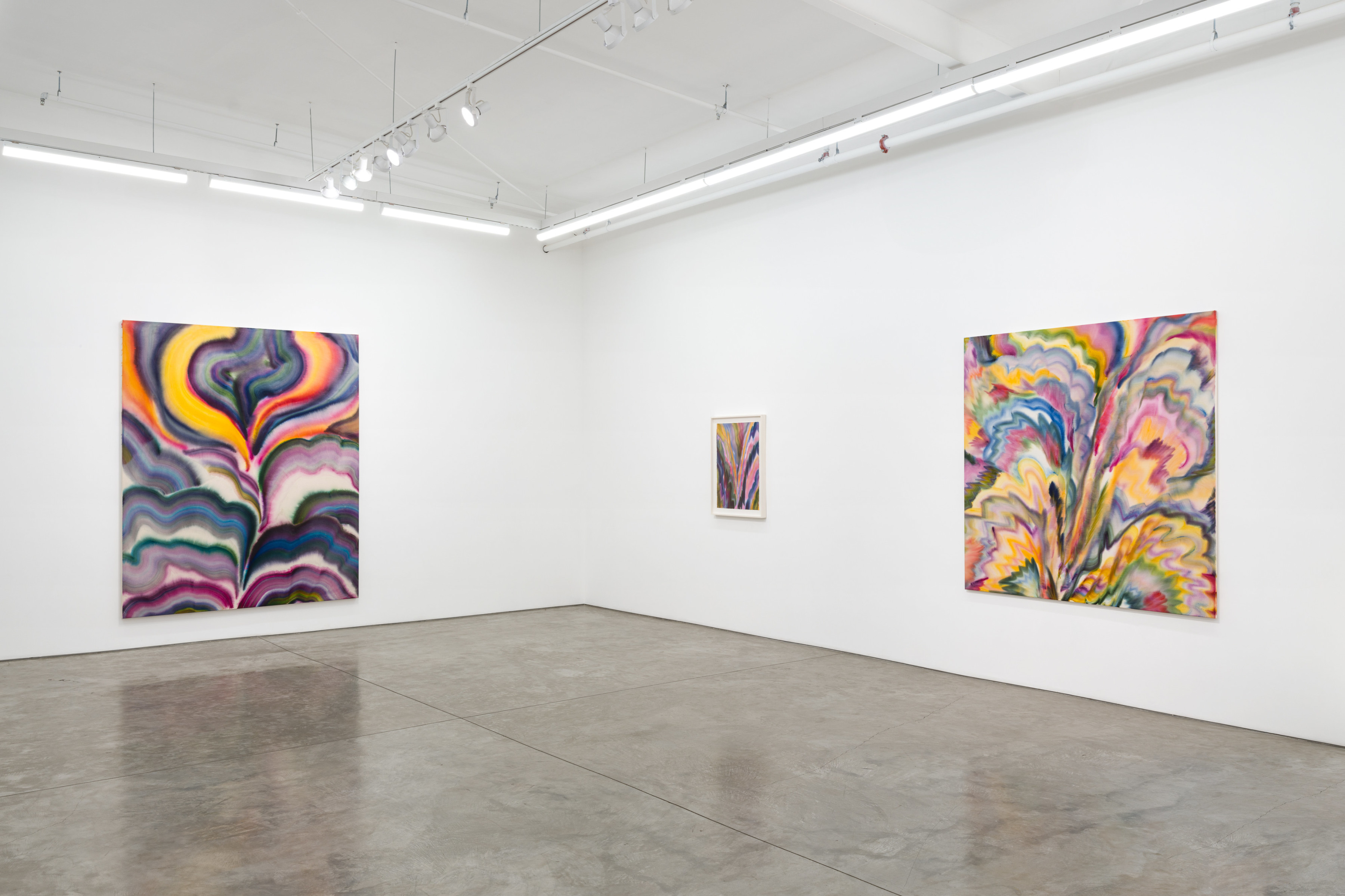 Installation view of Sarah Blaustein’s “Overture” at Night Gallery