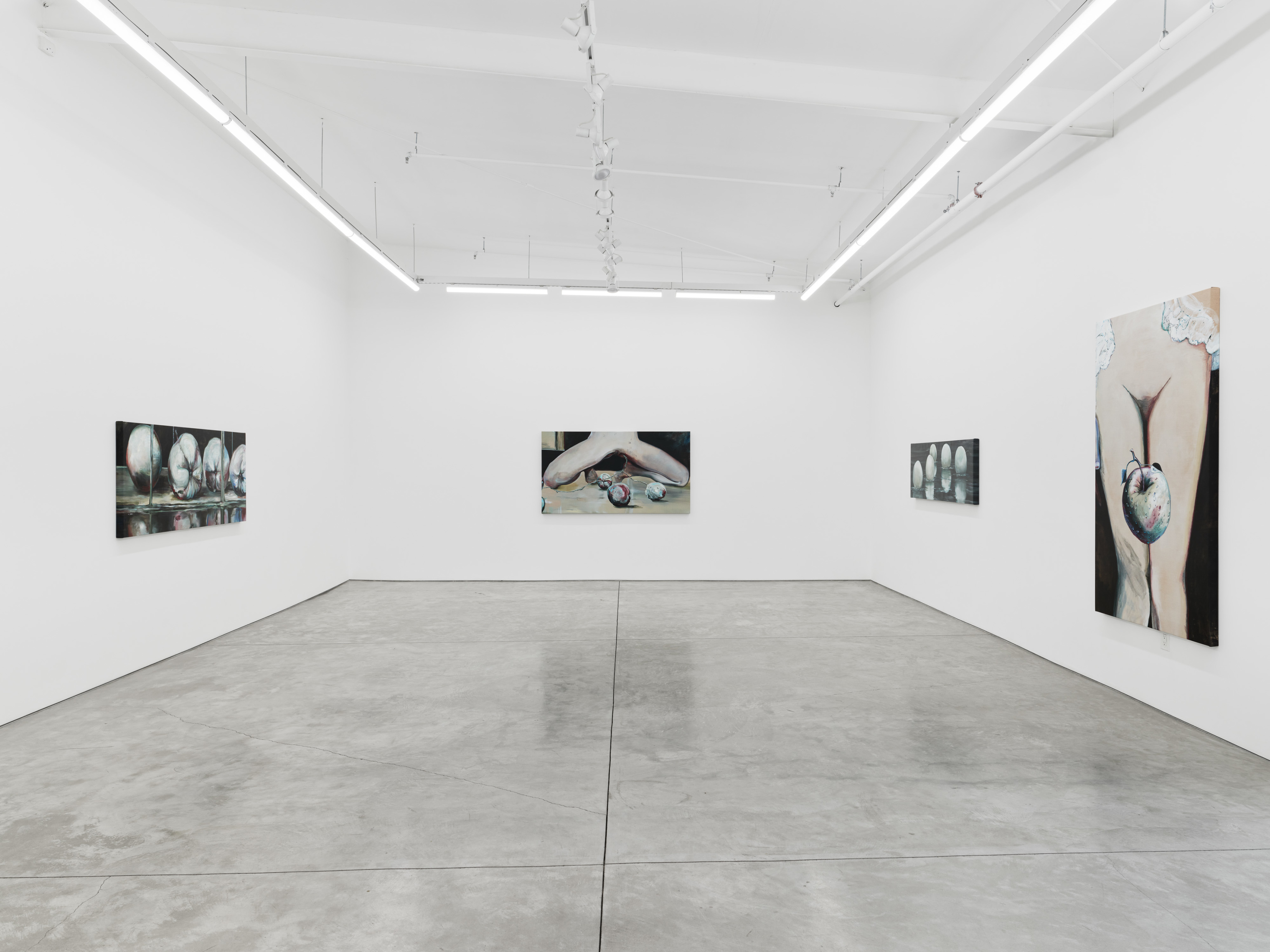 Installation view of Connor Marie Stankard’s exhibition “Love Apple” at Night Gallery